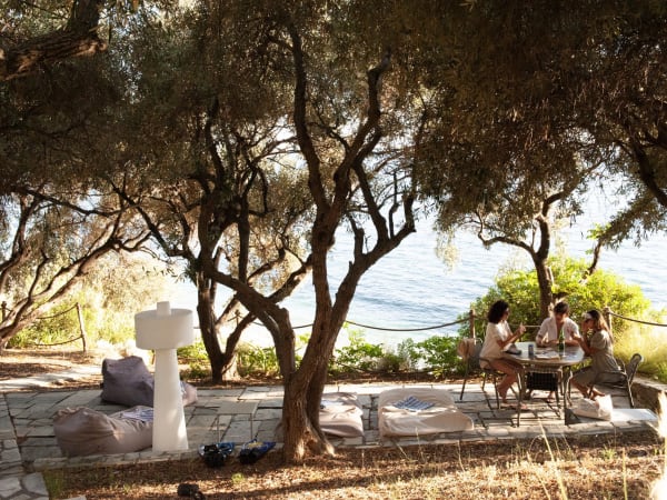 A shady spot on the way down to the beach - perfect for afternoon snoozes or quiet times with a book.